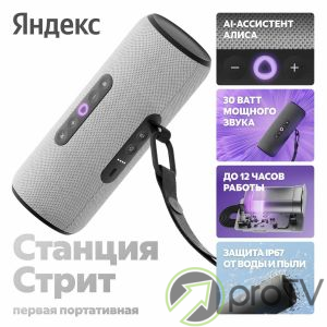 Яндекс Станция Алиса Стрит (серый)